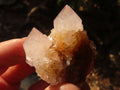 Natural Mixed Spirit Quartz Crystals x 70 From Boekenhouthoek, South Africa - Toprock Gemstones and Minerals 