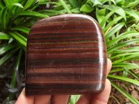 Polished Tiger Iron Banded Jasper Standing Free Forms  x 3 From Northern Cape, South Africa - TopRock