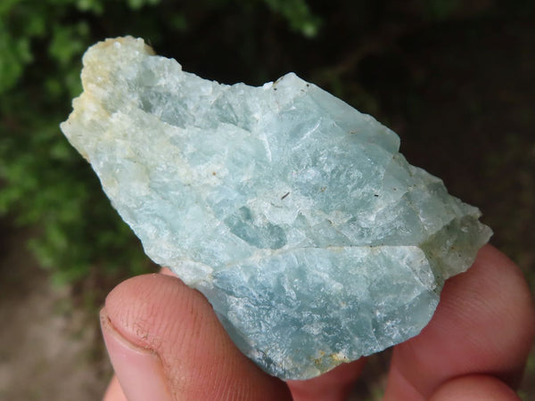Natural Small Aquamarine / Beryl Chips  x 26 From Angola - Toprock Gemstones and Minerals 