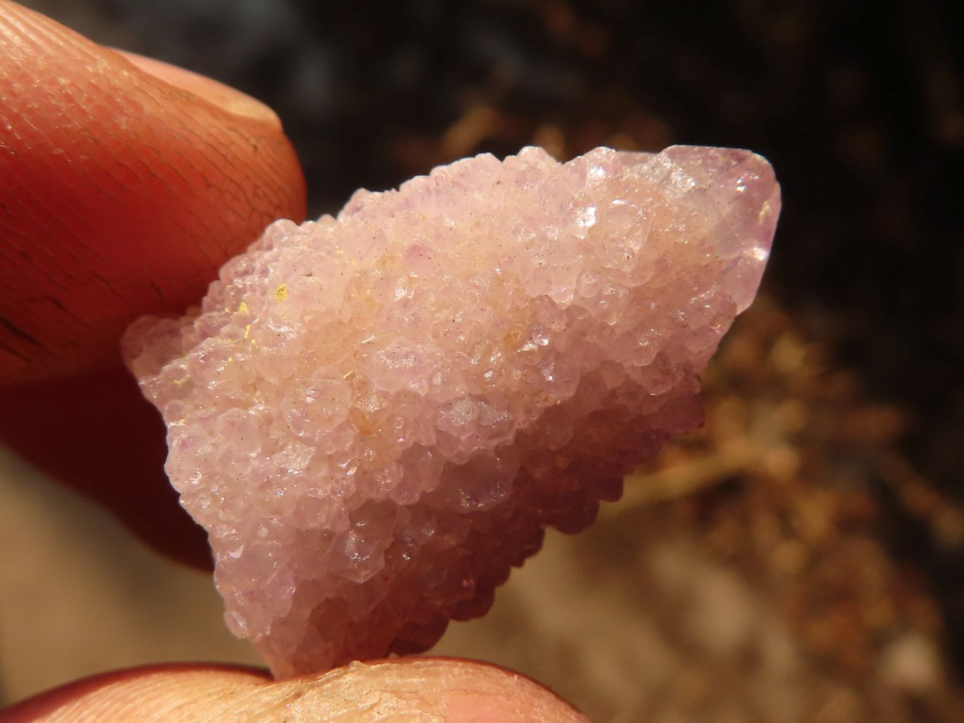 Natural Mixed Spirit Quartz Crystals x 70 From Boekenhouthoek, South Africa - Toprock Gemstones and Minerals 