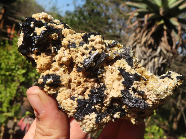 Natural Beautiful Tourmaline Schorl with vermiculite Specimens  x 3 From Erongo, Namibia