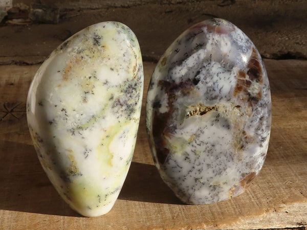 Polished Dendritic Opal Standing Free Forms  x 2 From Moralambo, Madagascar - Toprock Gemstones and Minerals 