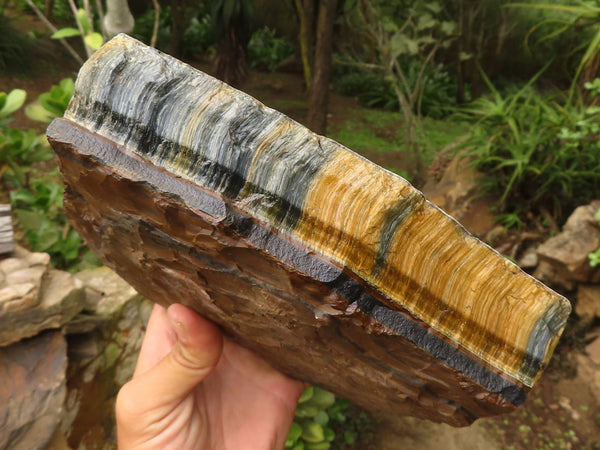 Natural Solid Blue & Gold Tigers Eye Slab x 1 From Southern Africa - Toprock Gemstones and Minerals 