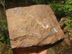 Natural Solid Blue & Gold Tigers Eye Slab x 1 From Southern Africa - Toprock Gemstones and Minerals 