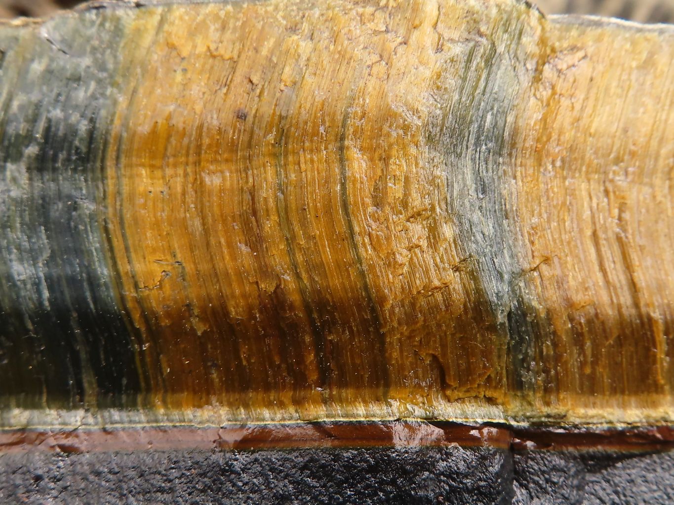 Natural Solid Blue & Gold Tigers Eye Slab x 1 From Southern Africa - Toprock Gemstones and Minerals 