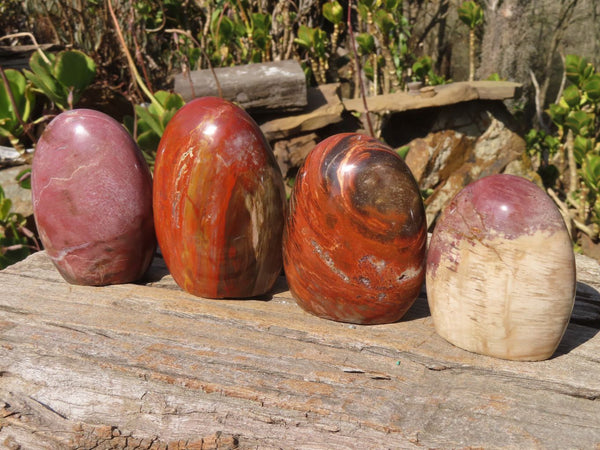 Polished Red Podocarpus Petrified Wood Standing Free Forms x 4 From Mahajanga, Madagascar - Toprock Gemstones and Minerals 