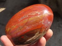 Polished Red Podocarpus Petrified Wood Standing Free Forms x 4 From Mahajanga, Madagascar - Toprock Gemstones and Minerals 