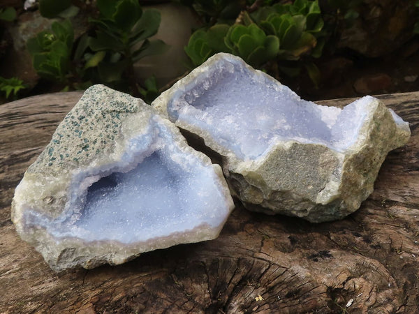 Natural Blue Lace Agate Geode Specimens  x 6 From Malawi - Toprock Gemstones and Minerals 