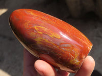 Polished Red Podocarpus Petrified Wood Standing Free Forms x 4 From Mahajanga, Madagascar - Toprock Gemstones and Minerals 