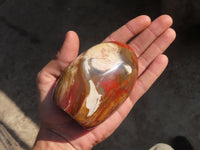 Polished Red Podocarpus Petrified Wood Standing Free Forms x 4 From Mahajanga, Madagascar - Toprock Gemstones and Minerals 