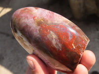 Polished Red Podocarpus Petrified Wood Standing Free Forms x 4 From Mahajanga, Madagascar - Toprock Gemstones and Minerals 