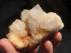 Natural Spirit Cactus Quartz Specimens x 24 From Boekenhouthoek, South Africa - Toprock Gemstones and Minerals 