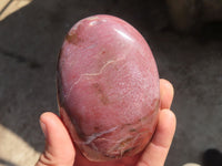 Polished Red Podocarpus Petrified Wood Standing Free Forms x 4 From Mahajanga, Madagascar - Toprock Gemstones and Minerals 