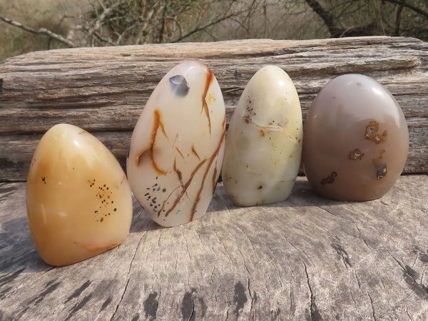 Polished Dendritic Agate Standing Free Forms  x 4 From Moralambo, Madagascar - TopRock