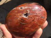 Polished Red Podocarpus Petrified Wood Standing Free Forms x 4 From Mahajanga, Madagascar - Toprock Gemstones and Minerals 