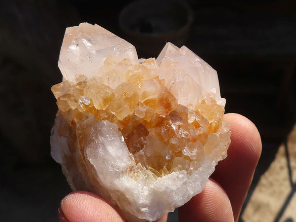 Natural Spirit Cactus Quartz Specimens x 24 From Boekenhouthoek, South Africa - Toprock Gemstones and Minerals 