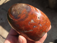 Polished Red Podocarpus Petrified Wood Standing Free Forms x 4 From Mahajanga, Madagascar - Toprock Gemstones and Minerals 