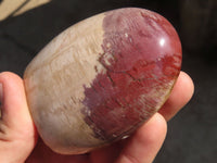 Polished Red Podocarpus Petrified Wood Standing Free Forms x 4 From Mahajanga, Madagascar - Toprock Gemstones and Minerals 