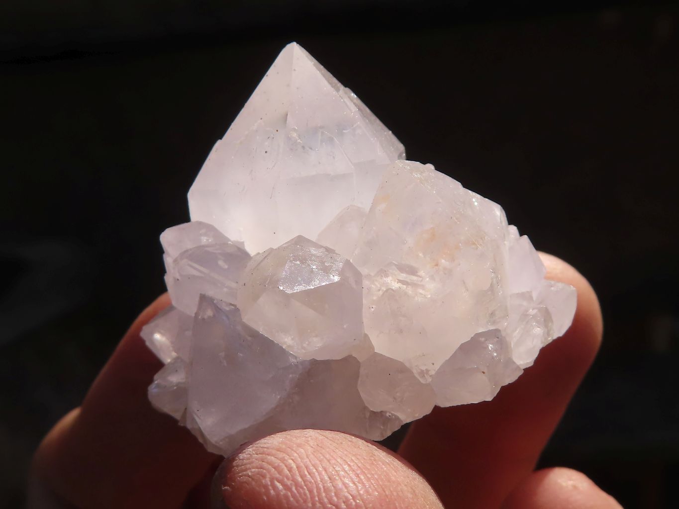 Natural Spirit Cactus Quartz Specimens x 24 From Boekenhouthoek, South Africa - Toprock Gemstones and Minerals 