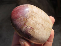 Polished Red Podocarpus Petrified Wood Standing Free Forms x 4 From Mahajanga, Madagascar - Toprock Gemstones and Minerals 