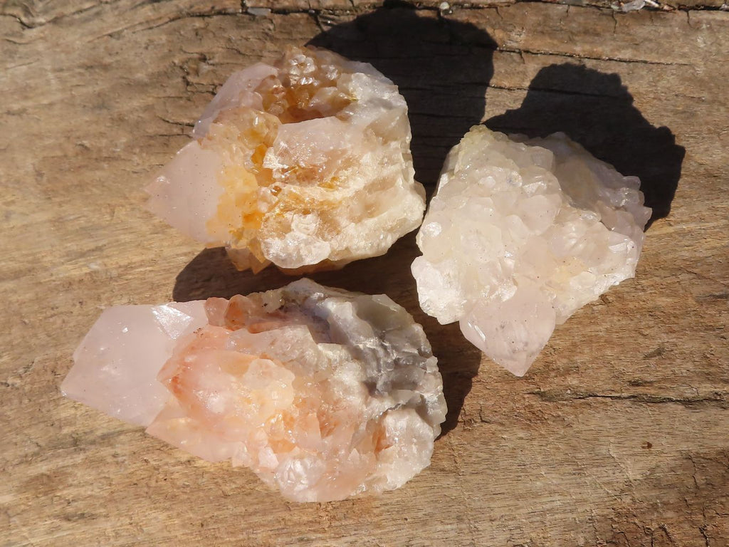 Natural Spirit Cactus Quartz Specimens x 24 From Boekenhouthoek, South Africa - Toprock Gemstones and Minerals 