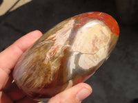Polished Red Podocarpus Petrified Wood Standing Free Forms x 4 From Mahajanga, Madagascar - Toprock Gemstones and Minerals 