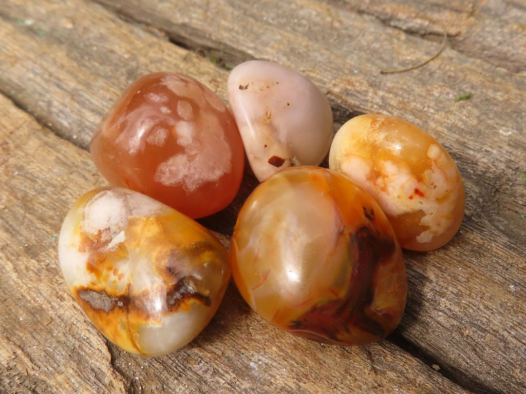 Polished Mini Coral Flower Agate Palm Stones  x 100 From Madagascar - Toprock Gemstones and Minerals 