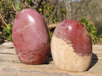 Polished Red Podocarpus Petrified Wood Standing Free Forms x 4 From Mahajanga, Madagascar - Toprock Gemstones and Minerals 