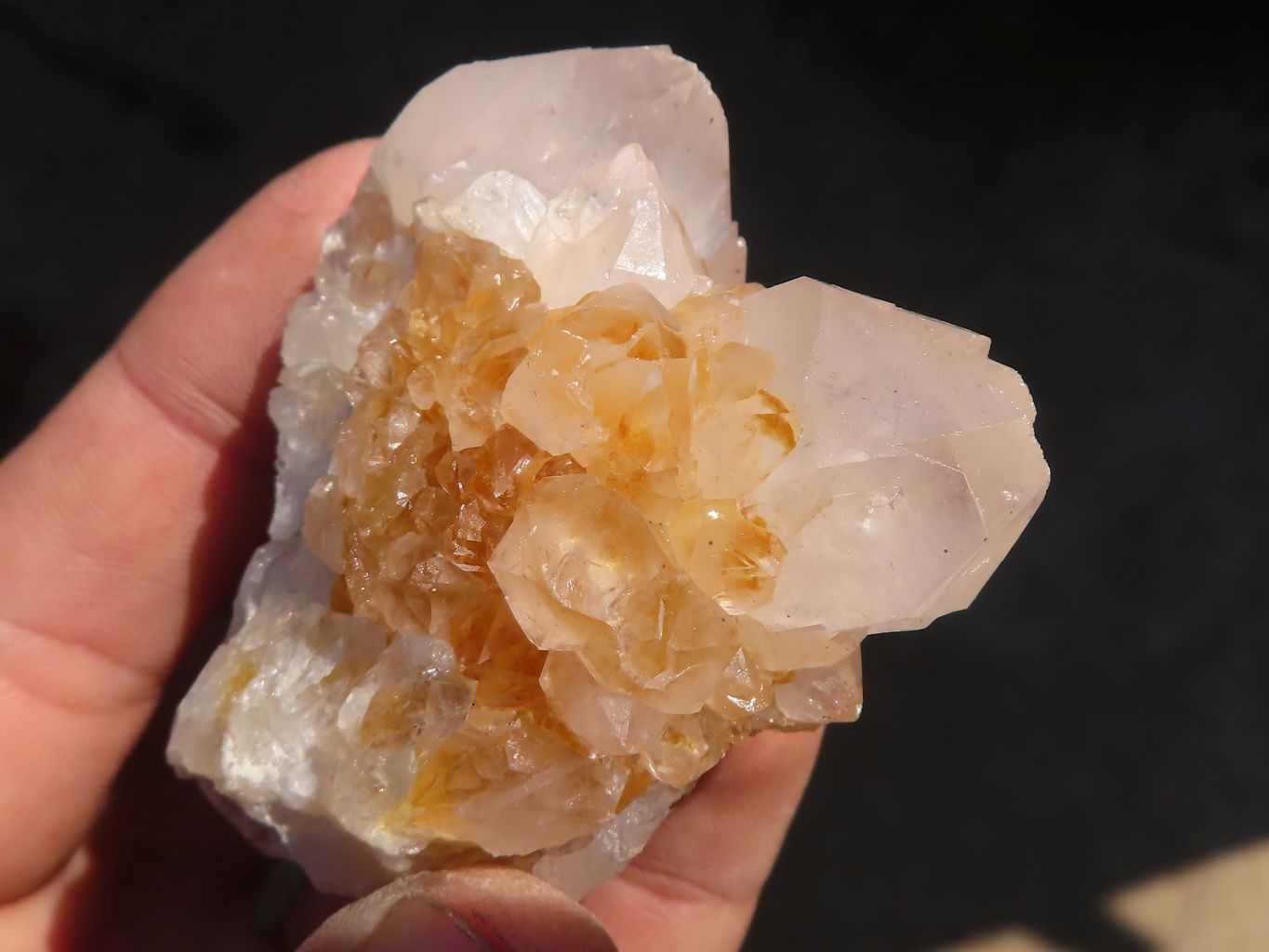 Natural Spirit Cactus Quartz Specimens x 24 From Boekenhouthoek, South Africa - Toprock Gemstones and Minerals 