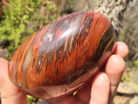 Polished Red Podocarpus Petrified Wood Standing Free Forms x 4 From Mahajanga, Madagascar - Toprock Gemstones and Minerals 