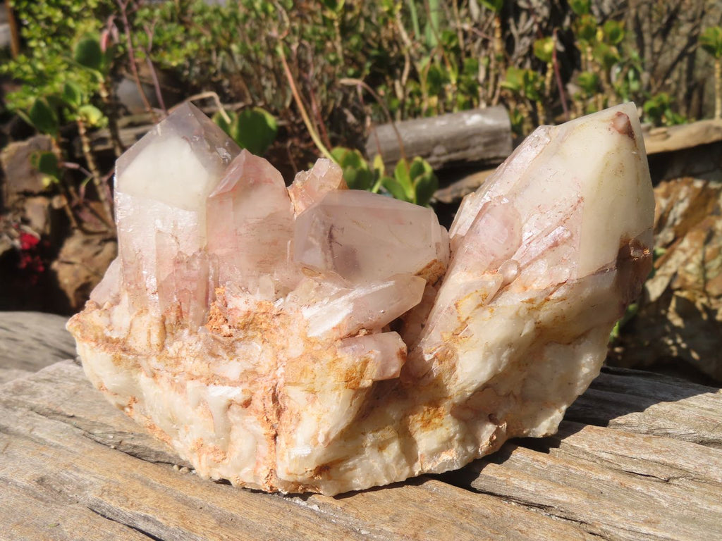 Natural Red Hematoid Quartz Cluster x 1 From Karoi, Zimbabwe - Toprock Gemstones and Minerals 
