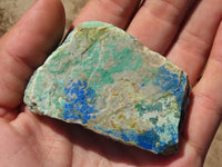 Natural Azurite & Malachite On Dolomite Specimens  x 24 From Kaokoveld, Namibia - Toprock Gemstones and Minerals 
