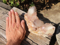 Natural Red Hematoid Quartz Cluster x 1 From Karoi, Zimbabwe - Toprock Gemstones and Minerals 