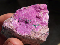 Natural Pink Salrose Cobaltion Dolomite Specimens  x 13 From Kakanda, Congo