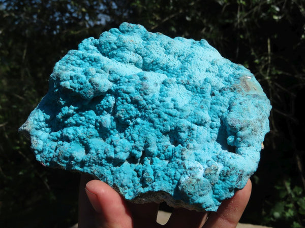 Natural Bright Blue Botryoidal Chrysocolla Specimens x 3 From Lupoto, Congo - TopRock