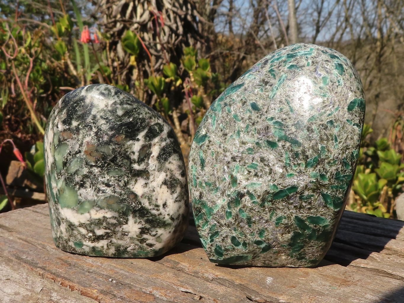 Polished Rare Emerald Mica In Matrix Standing Free Forms x 2 From Mutoko, Zimbabwe - Toprock Gemstones and Minerals 