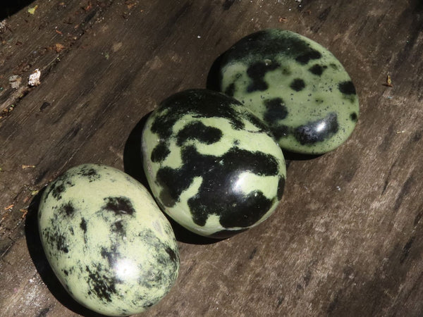 Polished Leopard Stone Palm Stones  x 12 From Zimbabwe - TopRock