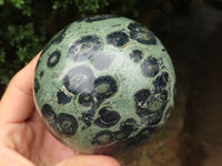 Polished Stromatolite / Kambamba Jasper Spheres  x 2 From Madagascar - TopRock