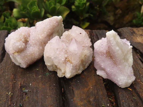 Natural Small Spirit Quartz Clusters  x 20 From Boekenhouthoek, South Africa - TopRock