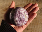 Polished Purple Lepidolite Spheres With Pink Tourmaline  x 2 From Madagascar - Toprock Gemstones and Minerals 