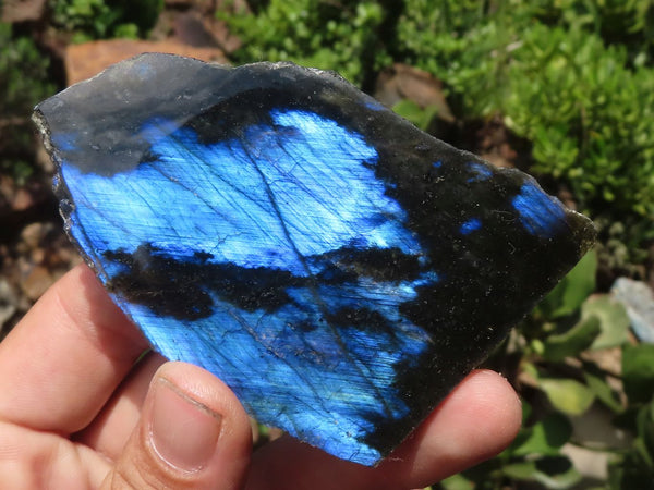 Polished One Side Polished Labradorite Slabs  x 6 From Madagascar - TopRock