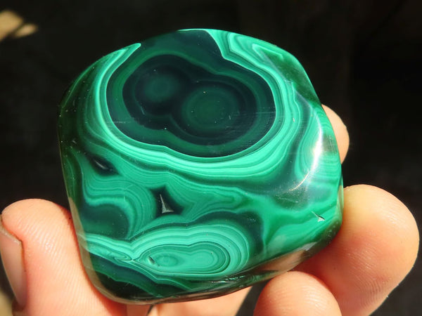 Polished Flower Banded Malachite Free Forms  x 12 From Congo - Toprock Gemstones and Minerals 