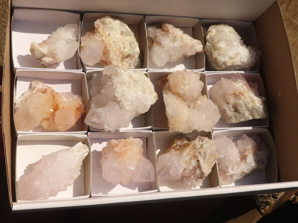 Natural White Cactus Flower Spirit Quartz Specimens x 12 From Boekenhouthoek, South Africa - Toprock Gemstones and Minerals 