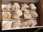 Natural White Cactus Flower Spirit Quartz Specimens x 12 From Boekenhouthoek, South Africa - Toprock Gemstones and Minerals 