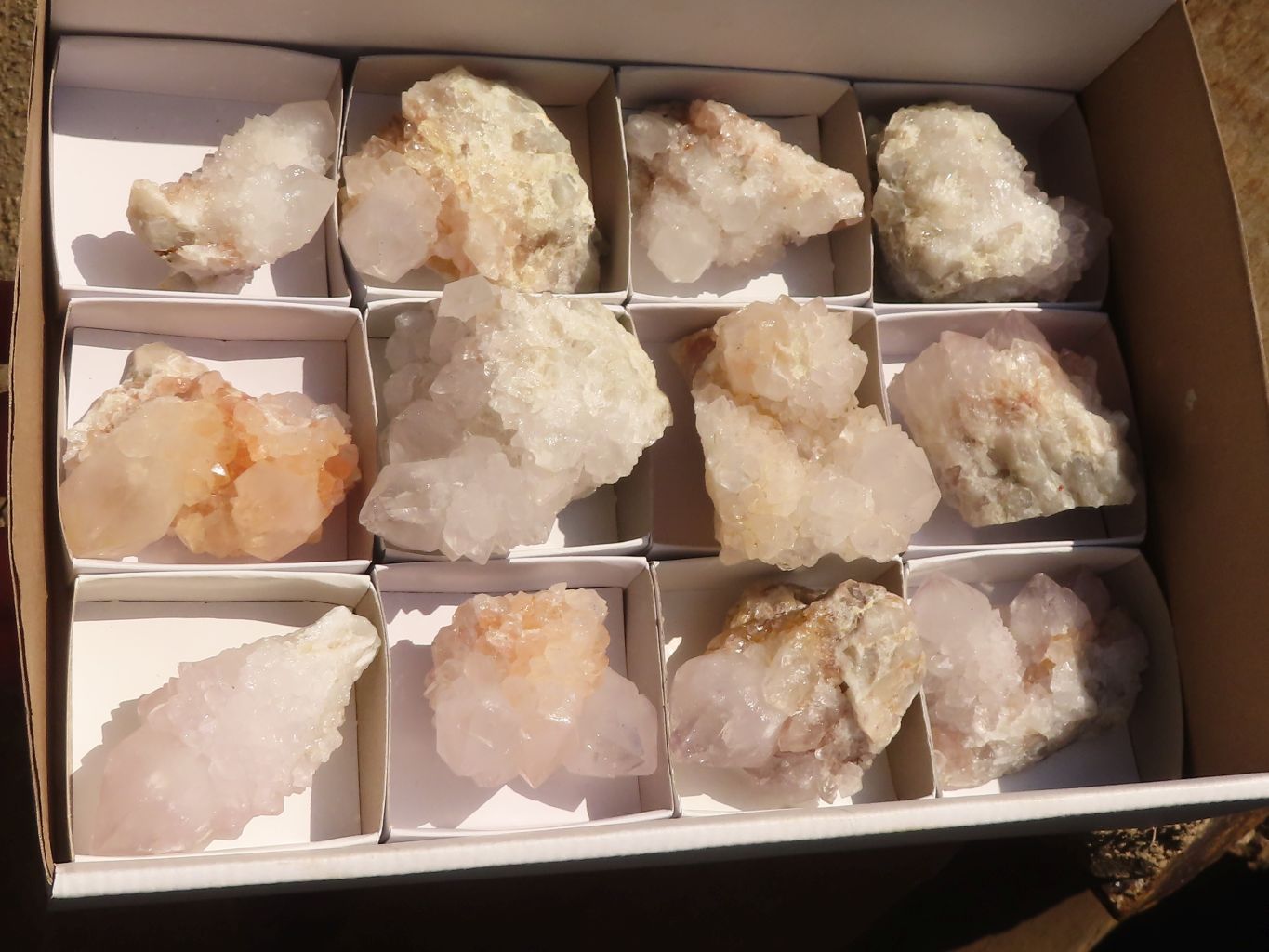 Natural White Cactus Flower Spirit Quartz Specimens x 12 From Boekenhouthoek, South Africa - Toprock Gemstones and Minerals 