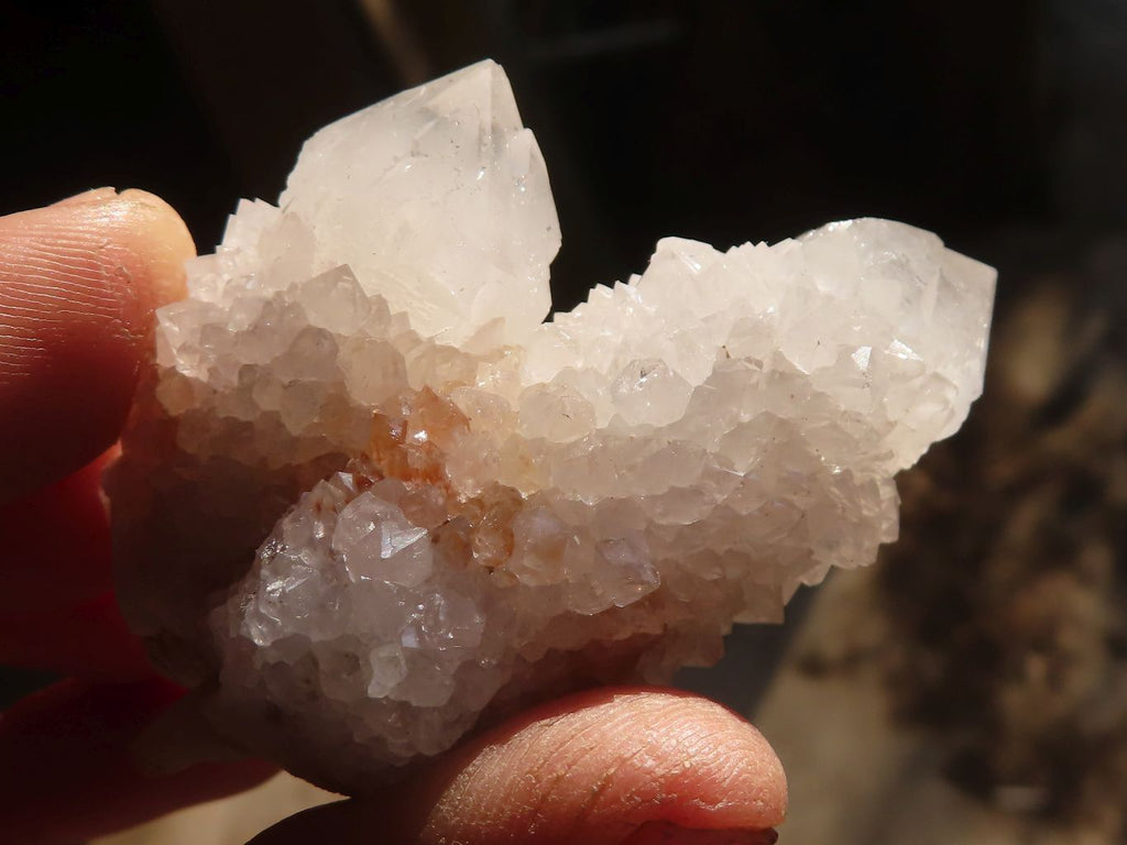 Natural White Cactus Flower Spirit Quartz Specimens x 12 From Boekenhouthoek, South Africa - Toprock Gemstones and Minerals 