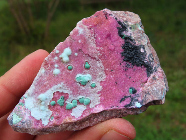 Natural Salrose Cobaltion Dolomite Specimens x 11 From Kakanda, Congo - TopRock