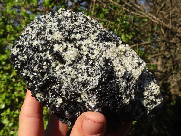 Natural Schorl Black Tourmaline Specimens x 2 From Erongo, Namibia - Toprock Gemstones and Minerals 