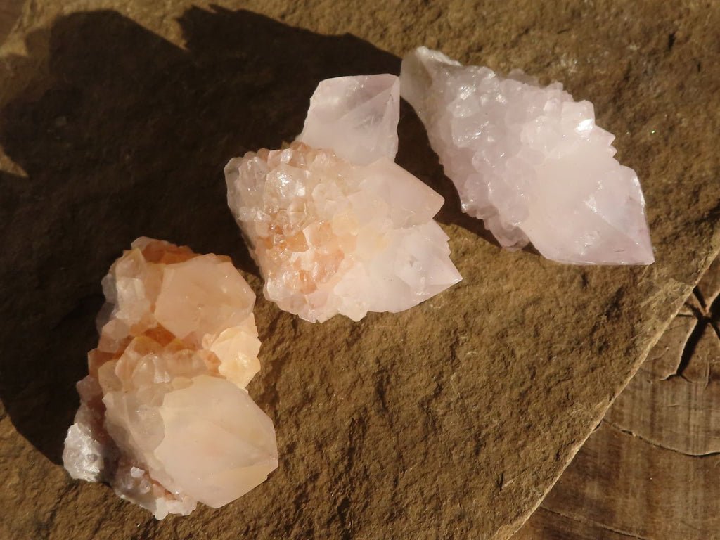 Natural White Cactus Flower Spirit Quartz Specimens x 12 From Boekenhouthoek, South Africa - Toprock Gemstones and Minerals 