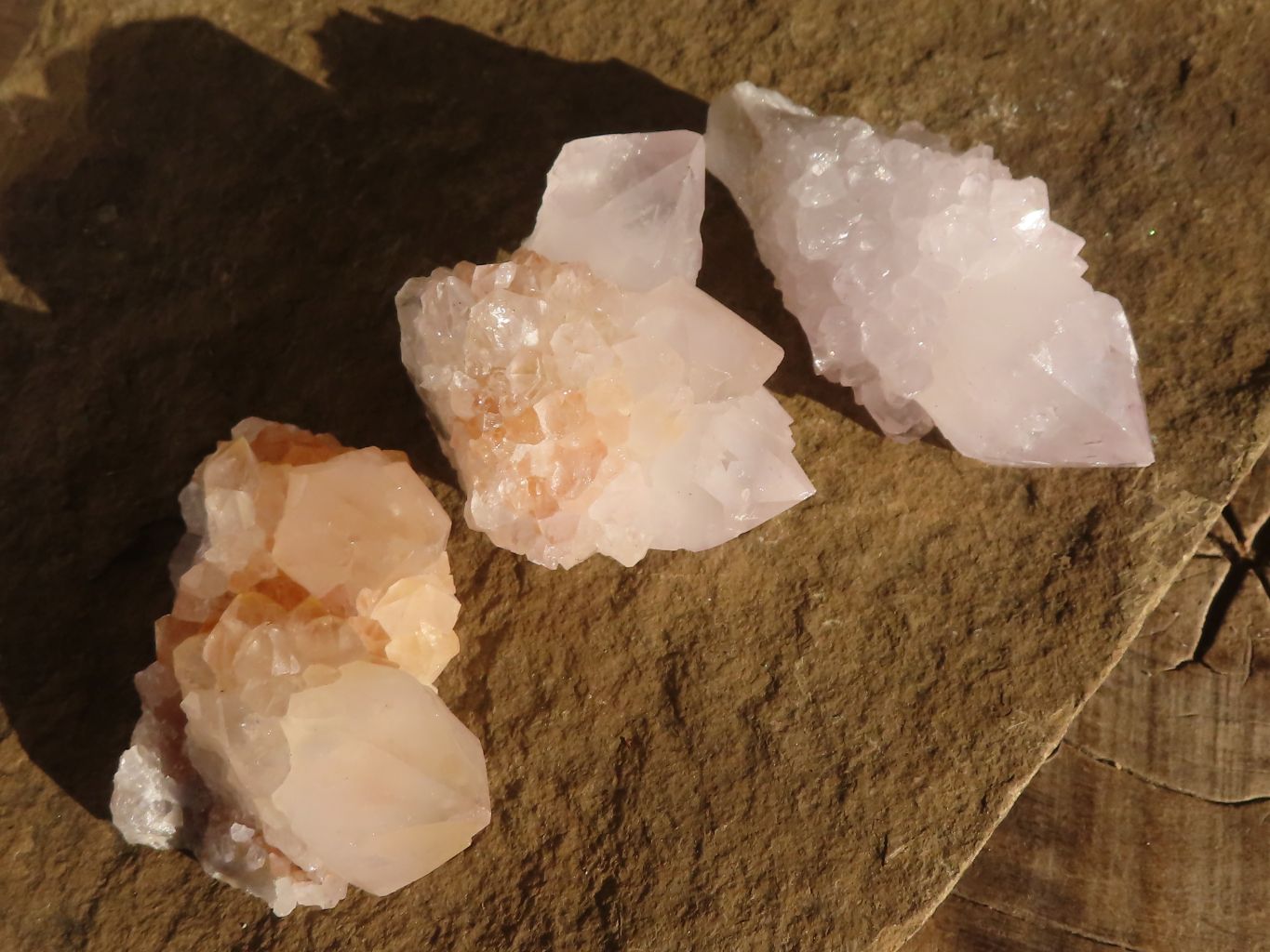 Natural White Cactus Flower Spirit Quartz Specimens x 12 From Boekenhouthoek, South Africa - Toprock Gemstones and Minerals 